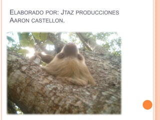 ELABORADO POR: JTAZ PRODUCCIONES
AARON CASTELLON.