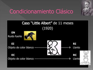 Condicionamiento Clásico
Caso “Little Albert” de 11 meses
(1920)
EN
Ruido fuerte
EI RI
Objeto de color blanco ------------------------------------ Llanto
EC RC
Objeto de color blanco ------------------------------------ Llanto
 