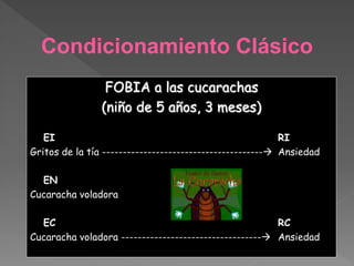 Condicionamiento Clásico
FOBIA a las cucarachas
(niño de 5 años, 3 meses)
EI RI
Gritos de la tía --------------------------------------- Ansiedad
EN
Cucaracha voladora
EC RC
Cucaracha voladora ---------------------------------- Ansiedad
 
