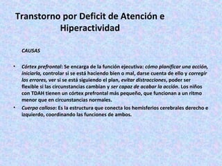 Transtorno por Deficit de Atención e
           Hiperactividad

    CAUSAS

•   Córtex prefrontal: Se encarga de la función ejecutiva: cómo planificar una acción,
    iniciarla, controlar si se está haciendo bien o mal, darse cuenta de ello y corregir
    los errores, ver si se está siguiendo el plan, evitar distracciones, poder ser
    flexible si las circunstancias cambian y ser capaz de acabar la acción. Los niños
    con TDAH tienen un córtex prefrontal más pequeño, que funcionan a un ritmo
    menor que en circunstancias normales.
•   Cuerpo calloso: Es la estructura que conecta los hemisferios cerebrales derecho e
    izquierdo, coordinando las funciones de ambos.
 