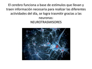 El cerebro funciona a base de estímulos que llevan y
traen información necesaria para realizar las diferentes
actividades del día, se logra trasmitir gracias a las
neuronas:
NEUROTRASMISORES
 