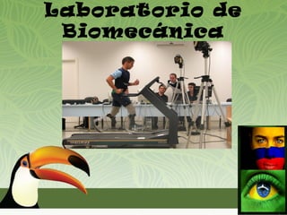 Laboratorio de
 Biomecánica


  Marco Teórico
 