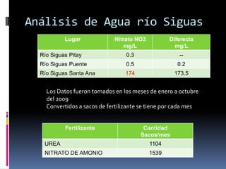 Análisis de Agua río Siguas
           Lugar             Nitrato NO3          Diferecia
                                 mg/L               mg/L
  Río Siguas Pitay               0.3                 --
  Río Siguas Puente              0.5                 0.2
  Río Siguas Santa Ana           174               173.5


    Los Datos fueron tomados en los meses de enero a octubre
    del 2009
    Convertidos a sacos de fertilizante se tiene por cada mes


           Fertilizante                 Cantidad
                                       Sacos/mes
   UREA                                    1104
   NITRATO DE AMONIO                       1539
 