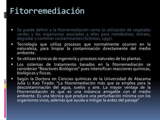Fitorremediación
 Se puede definir a la fitorremediación como la utilización de vegetales
    verdes y los organismos asociados a ellos para metabolizar, extraer,
    degradar y contener contaminantes (Schnoor, 1997).
   Tecnología que utiliza procesos que normalmente ocurren en la
    naturaleza, para limpiar la contaminación directamente del medio
    ambiente.
   Se utilizan técnicas de ingeniería y procesos naturales de las plantas.
   Los sistemas de tratamiento basados en la fitorremediación se
    consideran “Reactores Biológicos” pues intensifican reacciones químicas,
    biológicas y físicas.
   Según la Doctora en Ciencias químicas de la Universidad de Atacama
    Julia Li Kao Tirado: “La fitorremediación más que se emplea para la
    descontaminación del agua, suelos y aire. La mayor ventaja de la
    fitorremediación es que es una instancia amigable con el medio
    ambiente. Es una técnica que produce una perturbación mínima con los
    organismos vivos, además que ayuda a mitigar la ardez del paisaje”
 