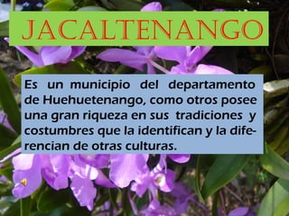 JACALTENANGO
Es un municipio del departamento
de Huehuetenango, como otros posee
una gran riqueza en sus tradiciones y
costumbres que la identifican y la dife-
rencian de otras culturas.
 