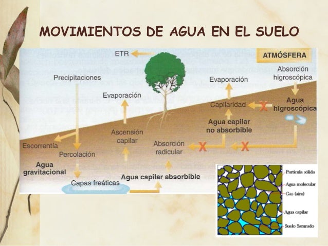 Movimiento Del Agua En El Suelo