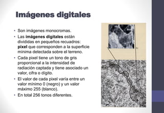 • Son imágenes monocromas.
• Las imágenes digitales están
divididas en pequeños recuadros:
pixel que corresponden a la superficie
mínima detectada sobre el terreno.
• Cada pixel tiene un tono de gris
proporcional a la intensidad de
radiación captada y tiene asociado un
valor, cifra o dígito.
• El valor de cada pixel varía entre un
valor mínimo 0 (negro) y un valor
máximo 255 (blanco).
• En total 256 tonos diferentes.
Imágenes digitales
 