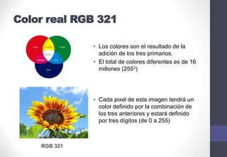 Color real RGB 321
• Los colores son el resultado de la
adición de los tres primarios.
• El total de colores diferentes es de 16
millones (2553)
• Cada pixel de esta imagen tendrá un
color definido por la combinación de
los tres anteriores y estará definido
por tres dígitos (de 0 a 255)
RGB 321
 