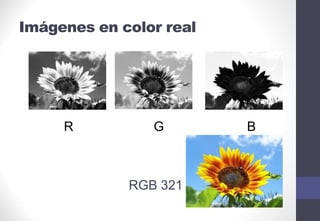 Imágenes en color real
R G B
RGB 321
 