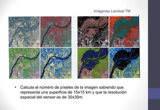 • Calcula el número de píxeles de la imagen sabiendo que
representa una superficie de 15x15 km y que la resolución
espacial del sensor es de 30x30m.
Imágenes Landsat TM
 