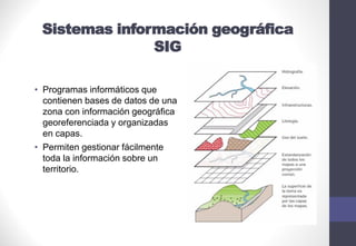 Sistemas información geográfica
SIG
• Programas informáticos que
contienen bases de datos de una
zona con información geográfica
georeferenciada y organizadas
en capas.
• Permiten gestionar fácilmente
toda la información sobre un
territorio.
 