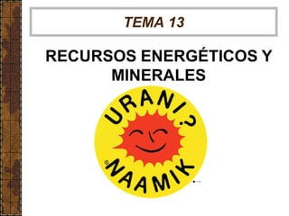 TEMA 13
RECURSOS ENERGÉTICOS Y
MINERALES
 