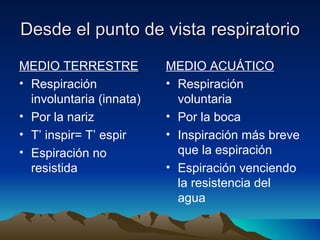Desde el punto de vista respiratorio MEDIO TERRESTRE Respiración involuntaria (innata) Por la nariz T’ inspir= T’ espir Espiración no resistida MEDIO ACUÁTICO Respiración voluntaria Por la boca Inspiración más breve que la espiración Espiración venciendo la resistencia del agua 