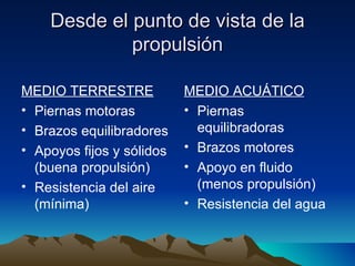Desde el punto de vista de la propulsión MEDIO TERRESTRE Piernas motoras Brazos equilibradores Apoyos fijos y sólidos (buena propulsión) Resistencia del aire (mínima) MEDIO ACUÁTICO Piernas equilibradoras Brazos motores Apoyo en fluido (menos propulsión) Resistencia del agua 