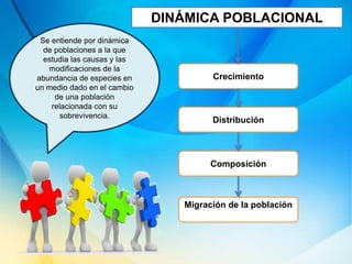 DINÁMICA POBLACIONAL
Crecimiento
Distribución
Composición
Migración de la población
Se entiende por dinámica
de poblaciones a la que
estudia las causas y las
modificaciones de la
abundancia de especies en
un medio dado en el cambio
de una población
relacionada con su
sobrevivencia.
 