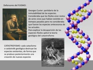 Defensores del FIJISMO:

                          Georges Cuvier: partidario de la
                          inmutabilidad de las especies.
                          Consideraba que los fósiles eran restos
                          de seres vivos que habían existido en
                          tiempos pasados pero no consideraba
                          que fueran las especies antecesoras de
                          las actuales.
                          Para explicar la desaparición de las
                          especies fósiles aplicó la teoría
                          geológica del catastrofismo



CATASTROFISMO: cada cataclismo
o catástrofe geológica destruye las
especies existentes, de forma que
se produce posteriormente una
creación de nuevas especies
 