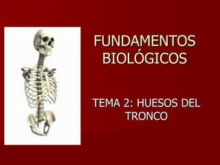 FUNDAMENTOS BIOLÓGICOS TEMA 2: HUESOS DEL TRONCO 