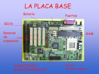 LA PLACA BASE
Chipset
BIOS
Zócalo
microprocesador
RAM
Batería
Ranuras
de
expansión
Puertos
CONECTORES
ALMACENAMIENTO
 