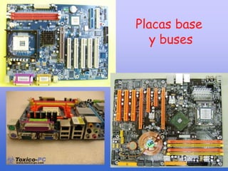 Placas base
y buses
 