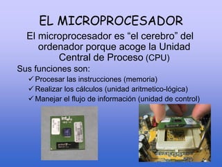 EL MICROPROCESADOR
El microprocesador es “el cerebro” del
ordenador porque acoge la Unidad
Central de Proceso (CPU)
Sus funciones son:
 Procesar las instrucciones (memoria)
 Realizar los cálculos (unidad aritmetico-lógica)
 Manejar el flujo de información (unidad de control)
 