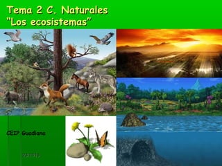 23/11/1623/11/16 11
Tema 2 C. NaturalesTema 2 C. Naturales
“Los ecosistemas”“Los ecosistemas”
CEIP Guadiana
 