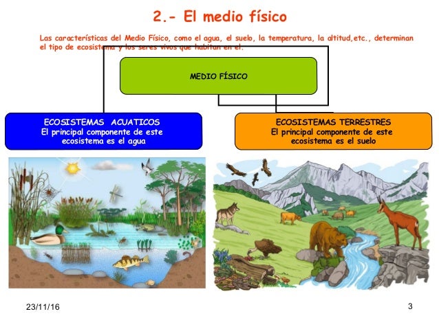 Resultado de imagen de ecosistema