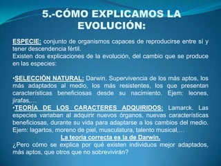 Con la ayuda de los fósiles se ha planteado un gran árbol de cómo ha evolucionado la biosfera, estando todos los seres vivos interrelacionados, todos proceden de un mismo tronco.