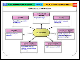 Presentación tema 3