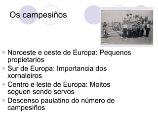 Os campesiños Noroeste e oeste de Europa: Pequenos propietarios Sur de Europa: Importancia dos xornaleiros Centro e leste de Europa: Moitos seguen sendo servos Descenso paulatino do número de campesiños 
