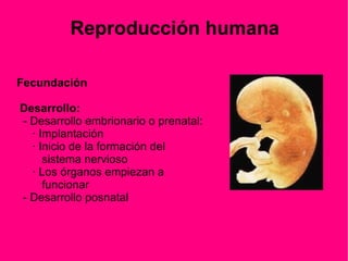 Es sustituir un órgano enfermo que pone en peligro la  vida de un persona por otro sano. 