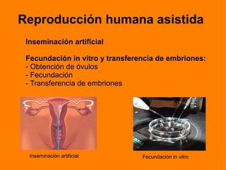 Puntos fundamentales de la legislación española: 