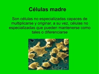 - La muerte encefálica es la definición científica, legal y  moral de la muerte del individuo. 