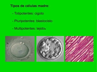 - Respeto a la voluntad del fallecido. 