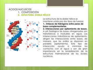 Presentación Tema 5. Ácidos Nucleicos.pdf