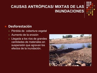 CAUSAS ANTRÓPICAS/ MIXTAS DE LAS
INUNDACIONES
 Desforestación
 Pérdida de cobertura vegetal
 Aumento de la erosión
 Llegada a los ríos de grandes
cantidades de materiales en
suspensión que agravan los
efectos de la inundación.
 