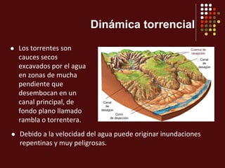 Dinámica torrencial
 Debido a la velocidad del agua puede originar inundaciones
repentinas y muy peligrosas.
 Los torrentes son
cauces secos
excavados por el agua
en zonas de mucha
pendiente que
desembocan en un
canal principal, de
fondo plano llamado
rambla o torrentera.
Canal
de
desagüe
Cono
de deyección
Cuenca de
recepción
Canal
de
desagüe
 
