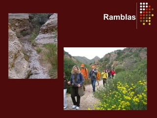 Ramblas
 