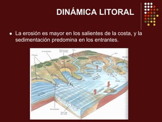 DINÁMICA LITORAL
 La erosión es mayor en los salientes de la costa, y la
sedimentación predomina en los entrantes.
 