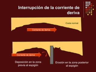 Interrupción de la corriente de
deriva
Costa normal
Corriente de deriva
Deposición en la zona
previa al espigón
Erosión en la zona posterior
al espigón
Corriente de deriva
 
