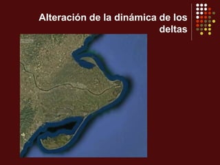 Alteración de la dinámica de los
deltas
 