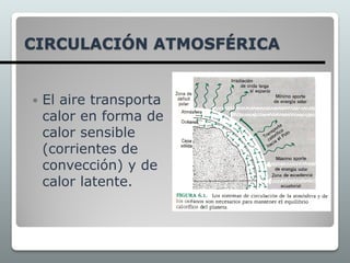 CIRCULACIÓN ATMOSFÉRICA
 El aire transporta
calor en forma de
calor sensible
(corrientes de
convección) y de
calor latente.
 