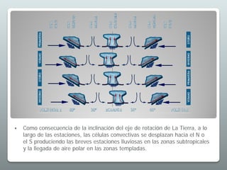  Como consecuencia de la inclinación del eje de rotación de La Tierra, a lo
largo de las estaciones, las células convectivas se desplazan hacia el N o
el S produciendo las breves estaciones lluviosas en las zonas subtropicales
y la llegada de aire polar en las zonas templadas.
 
