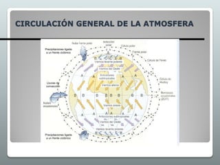 CIRCULACIÓN GENERAL DE LA ATMOSFERA
Lluvias de
convección
Precipitaciones ligada
a un frente ciclónico
Precipitaciones ligada
a un frente ciclónico
 