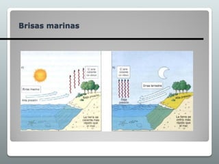 Brisas marinas
 
