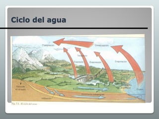 Ciclo del agua
 