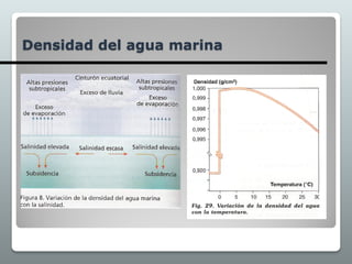 Densidad del agua marina
 