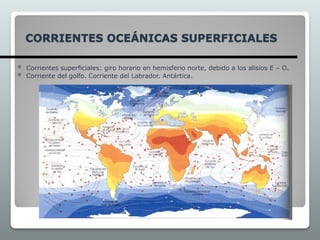 CORRIENTES OCEÁNICAS SUPERFICIALES
 Corrientes superficiales: giro horario en hemisferio norte, debido a los alisios E – O.
 Corriente del golfo. Corriente del Labrador. Antártica.
 
