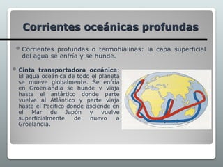  Cinta transportadora oceánica:
El agua oceánica de todo el planeta
se mueve globalmente. Se enfría
en Groenlandia se hunde y viaja
hasta el antártico donde parte
vuelve al Atlántico y parte viaja
hasta el Pacífico donde asciende en
el Mar de Japón y vuelve
superficialmente de nuevo a
Groelandia.
Corrientes oceánicas profundas
 Corrientes profundas o termohialinas: la capa superficial
del agua se enfría y se hunde.
 
