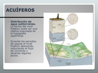 ACUÍFEROS
 Distribución de
agua subterránea.
La forma del nivel
freático suele ser una
réplica suavizada de
la topografía
superficial.
 Durante los periodos
de sequía el nivel
freático desciende,
reduciendo el flujo
de corriente y
secando algunos
pozos.
 