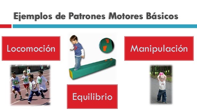 Teoría de la Enseñanza en la Educación Física